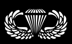 Army Airborne Jump wings Military Vinyl Decal | eBay