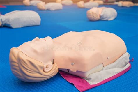 Model Dummy for CPR Training Medical in Class Stock Image - Image of hand, cardiac: 173620633