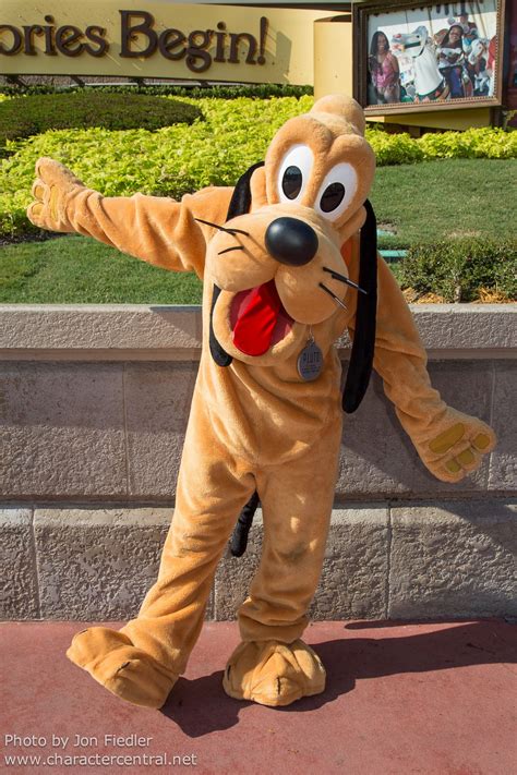 WDW Sept 2012 - Meeting Pluto | Disney world characters, Disney ...