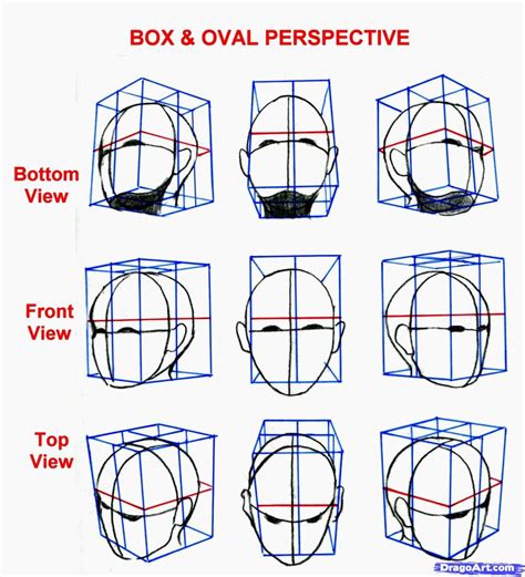 Human Perspective Drawing at GetDrawings | Free download