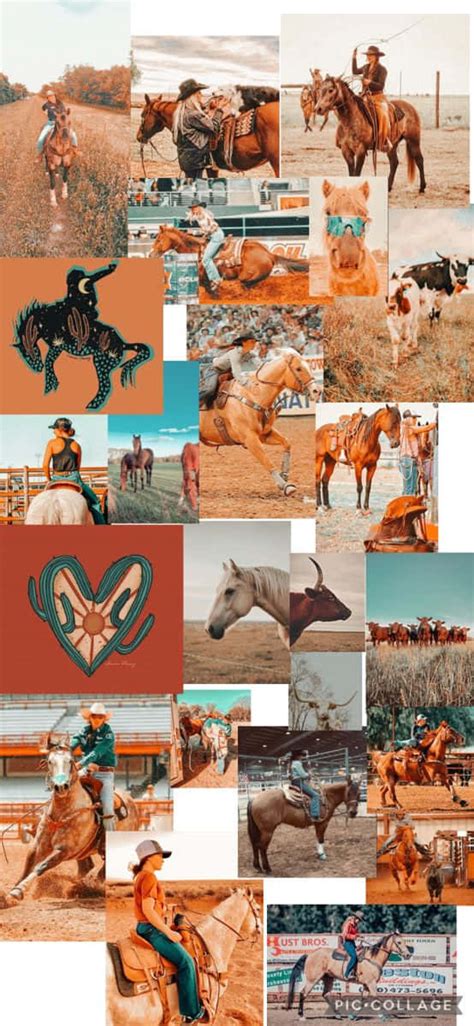 Horse Collage