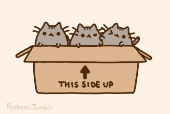 Thank You For Listening Pusheen Gifs