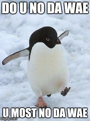 penguin - Imgflip
