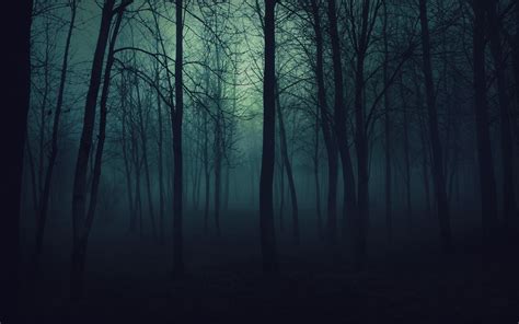 Dark Scary Forest Wallpaper - WallpaperSafari