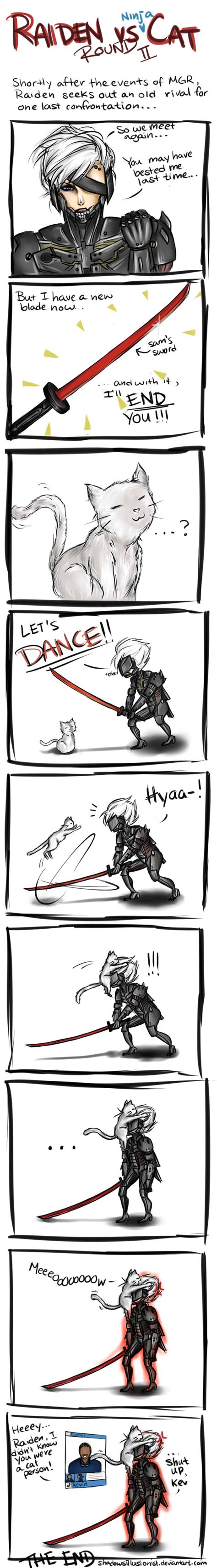 Raiden vs Ninja Cat (The Rematch) by ShadowsIllusionist on DeviantArt