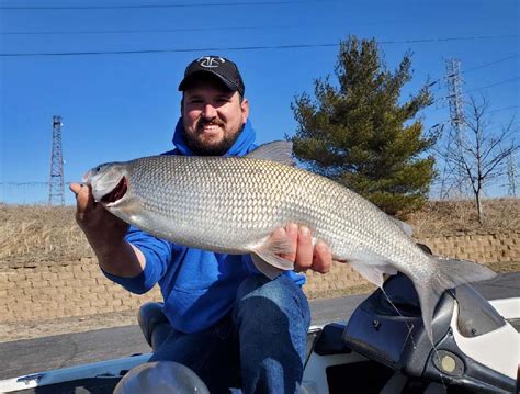 Angler hooks record breaking whitefish in Lake Michigan | WANE 15