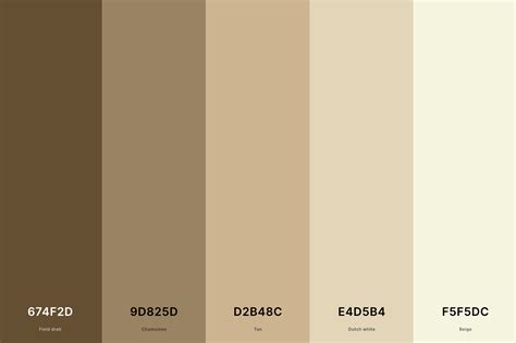 25+ Best Beige Color Palettes with Names and Hex Codes – CreativeBooster