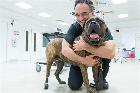 Supervet Professor Noel Fitzpatrick to Speak at Joint PHT-UoP Health ...