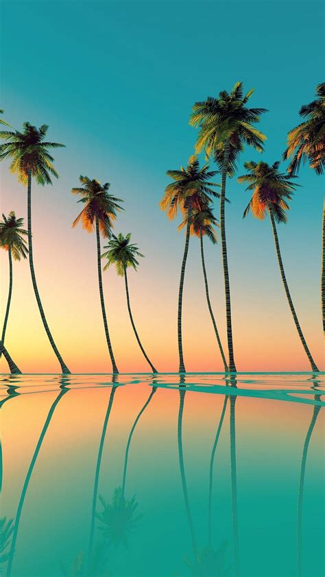 Palm Trees 4K Wallpapers - Top Free Palm Trees 4K Backgrounds - WallpaperAccess