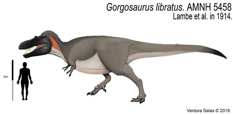 Gorgosaurus libratus (adult version). by VenturaSalas on DeviantArt