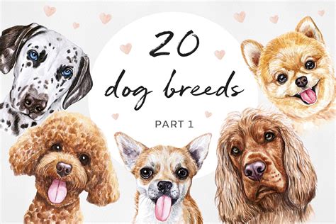 Watercolor Set 20 DOG Breeds Graphic by Susik store · Creative Fabrica