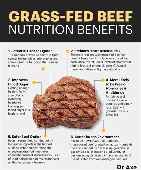 Grass-Fed Beef Nutrition, Benefits, Recieps and More - Dr. Axe