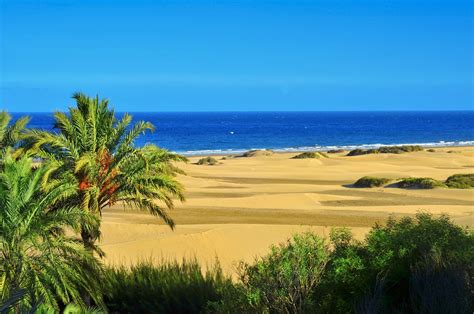 Maspalomas Holidays 2024/2025 - Gran Canaria | Mercury Holidays