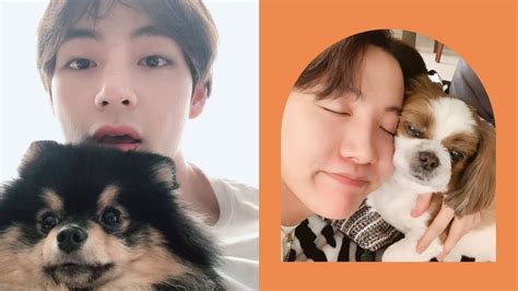 Bts Members Pets - Bts Songs Ranked Ever | indiaglitz