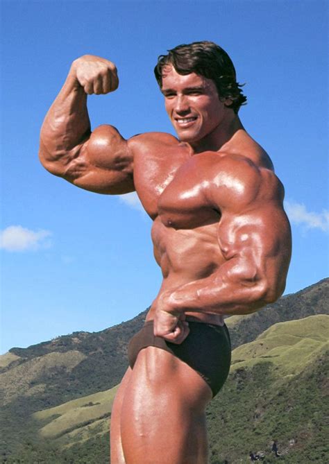 Arnold Schwarzenegger - Mr Olympia 1970 - 1975, 1980 | Arnold bodybuilding, Arnold ...