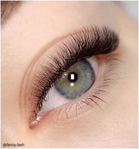 fancy lash | Inspirational Bodies