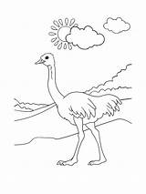Ostrich coloring page sketch template
