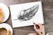 How to Draw a Feather - Steps to Creating an Easy Feather Drawing