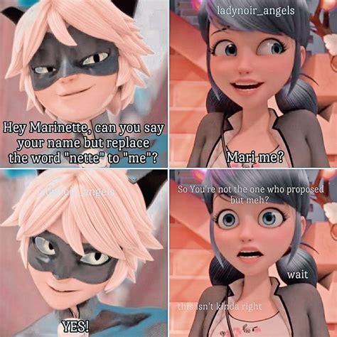 Pin by marinette 🐞Ladybug🐞 on Marichat 🤭 in 2023 | Miraculous ladybug memes, Miraculous ladybug ...