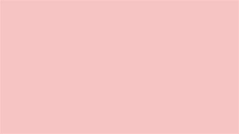 Baby Pink Solid Color Background: 1000+ Free Download Vector, Image ...