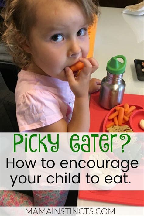 Picky Eater: How To Encourage your Child to Eat | Toddler picky eater, Picky toddler meals ...