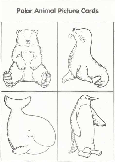 Squish Preschool Ideas: January | Artic animals, Arctic animals, Polar animals