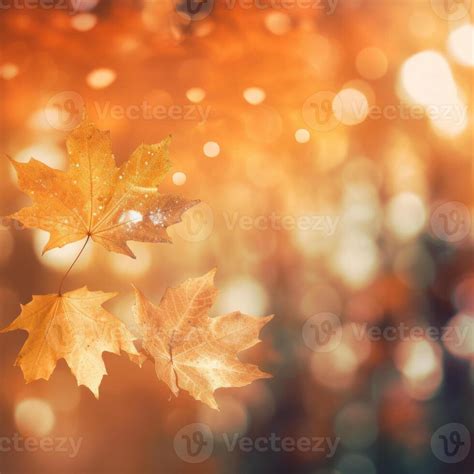 Orange leaves fall background. Illustration 24569773 Stock Photo at Vecteezy