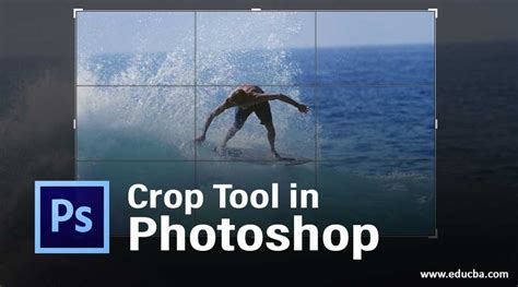 Crop Tool in Photoshop | Learn to Use Crop Tool in Photoshop