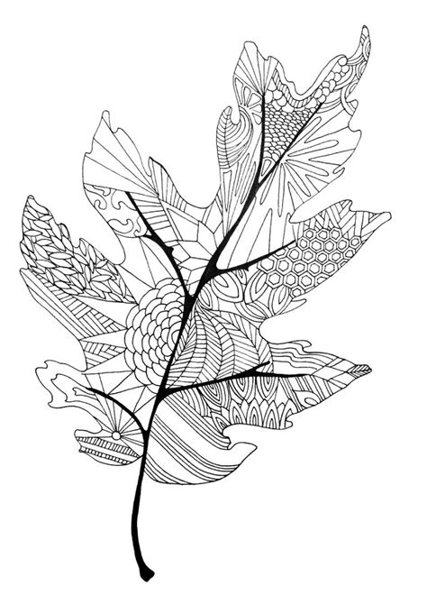 Printable Tumble Leaf Coloring Pages - Christopher Myersa's Coloring Pages