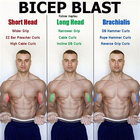 Biceps Workout That Will Have You Bursting Through Your Sl | Biceps workout, Weight training ...