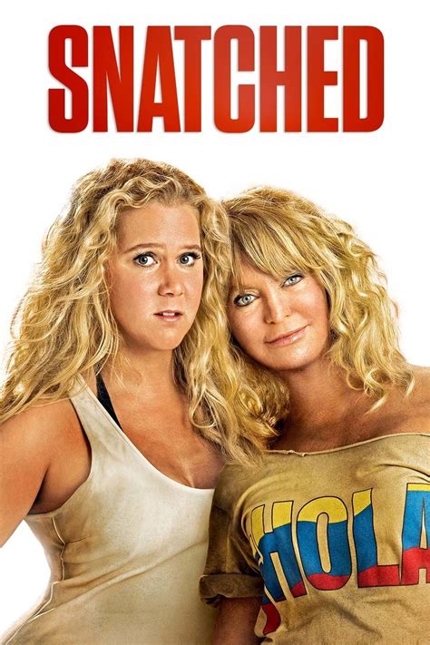 Snatched (2017) - Posters — The Movie Database (TMDB)