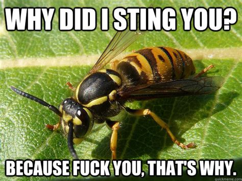 Nuisance Wasp memes | quickmeme