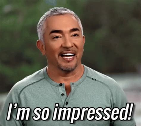 I'm So Impressed! GIF - Cesar911 Cesar911Series - Discover & Share GIFs