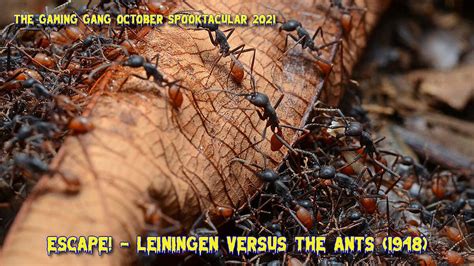 TGG Spooktacular 2021 - Escape!: Leiningen Versus The Ants - The Gaming Gang