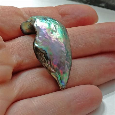 Rare Abalone Pearl | ubicaciondepersonas.cdmx.gob.mx