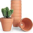 Amazon.com: FCFKUK 4 inch Terracotta Clay Pots, 24 Pack Clay Flower Pots with Drainage, Great ...