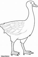 Snow Goose Cute coloring Page sketch template