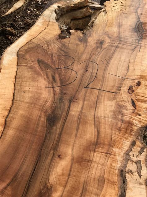 Maple wood slabs for sale. 13 foot Norwegian Maple wood slabs | Etsy