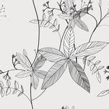 "pattern floral seamless, EPS 10" Stock image and royalty-free vector files on Fotolia.com - Pic ...