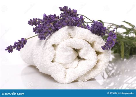 Lavender bath stock image. Image of nature, towel, lavender - 2731169