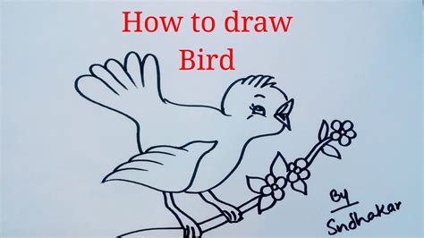 How to draw a bird on the tree.step by step - YouTube