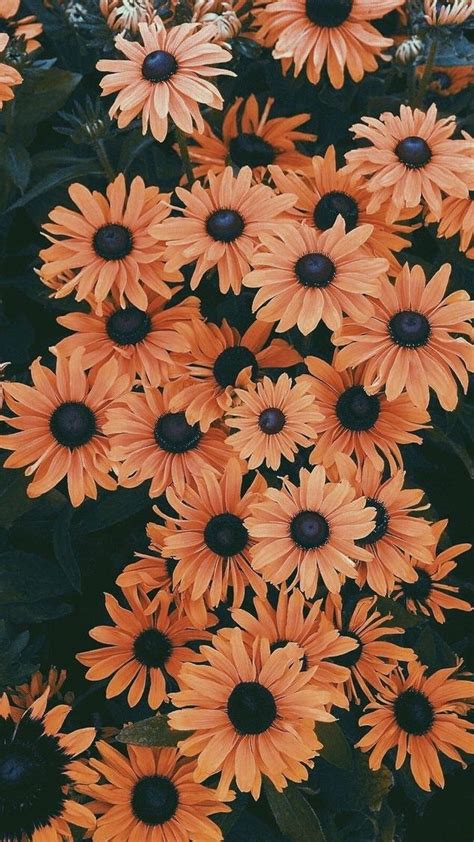 500+ Fondos de Pantalla de Flores ¡Bonitas!