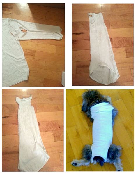 22 Of the Best Ideas for Dog Cone Alternative Diy - Home, Family, Style ...