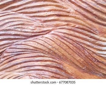 Carved Wood Wall Close Thai Style Stock Photo 677087035 | Shutterstock