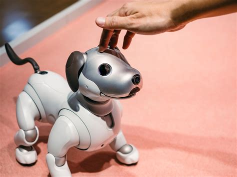 Japan Tech Trends: Robots That Don't Do Much | Tokyo Weekender