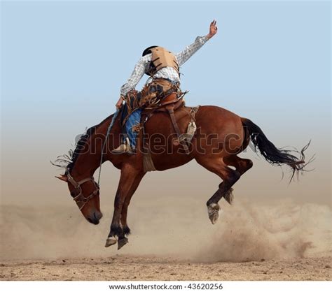 Rodeo Cowboy Horse: Over 11,908 Royalty-Free Licensable Stock Photos | Shutterstock