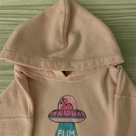 Albert Flamingo Merch 2020 FlimFlam Pink UFO Hoodie... - Depop