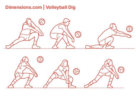 Volleyball Dig | Volleyball drawing, Volleyball dig, Volleyball poses