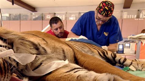 'Dr. Jeff: Rocky Mountain Vet' Returns to Treat Furry Friends Small & Large (VIDEO)