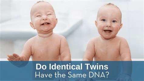 Do Identical Twins Have the Same DNA? – Test Smartly Labs